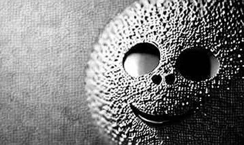 The Vanishing Protocol: When Audit Reports Yield Zero Data